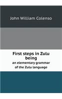 First steps in Zulu being an elementary grammar of the Zulu language: (English)
