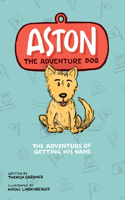 Aston The Adventure Dog 