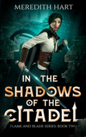 In The Shadows of The Citadel