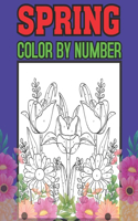 Spring Color By Number