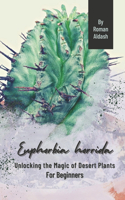 Euphorbia horrida: Unlocking the Magic of Desert Plants, For Beginners