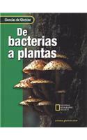 Glencoe Science: From Bacteria to Plants Spanish