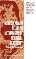 Molecular and Cellular Mechanisms of Neuronal Plasticity
