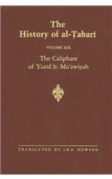 History of Al-Tabari Vol. 19