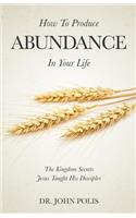How To Produce Abundance In Your Life