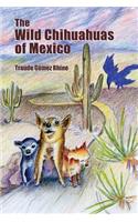 Wild Chihuahuas of Mexico