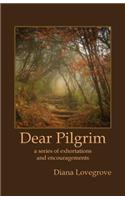 Dear Pilgrim