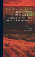 Delle Consuetudini e Degli Statuti Municipal Nelle Provincie Napolitane Notizie e Monumenti; Volume 1