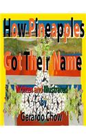 How Pineapples got their name