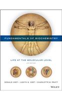 Fundamentals of Biochemistry