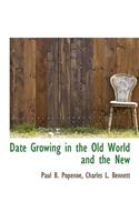 Date Growing in the Old World and the New