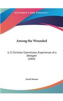 Among the Wounded: U. S. Christian Commission, Experiences of a Delegate (1864)