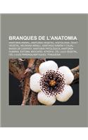 Branques de L'Anatomia: Anatomia Animal, Anatomia Vegetal, Histologia, Teixit Vegetal, Neurona Mirall, Santiago Ramon y Cajal, Banda de Caspary(Catalan)