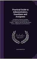 Practical Guide to Administrators, Guardians and Assignees