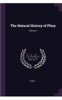 The Natural History of Pliny; Volume 4