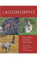 Lagomorphs