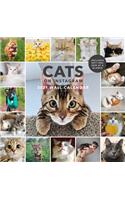 Cats on Instagram 2021 Wall Calendar: (monthly Calendar of Adorable Internet Kitties, Photos of Cute and Funny Cats in 12-Month Calendar)