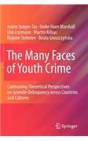 The Many Faces of Youth Crime