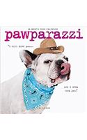 Pawparazzi 2018 Mini Wall Calendar