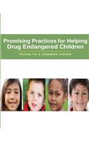 Promising Practices for Helping Drug Endangered Children: Paths to a Common Vision