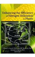 Enhancing the Efficiency of Nitrogen Utilization in Plants