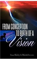 From Conception to Birth of a Vision