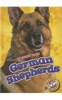 German Shepherds