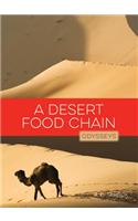 Desert Food Chain