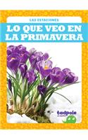 Lo Que Veo En La Primavera (What I See in Spring)