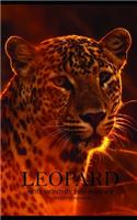 Leopard Note Monthly 2020 Planner 12 Month Calendar