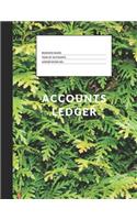 Accounts Ledger