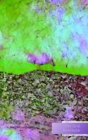 Dot Grid Notebook Abstract Landscape