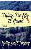 Things too Big to Name