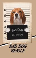 Bad Dog Beagle