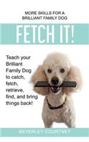 Fetch It!