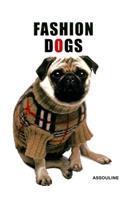 Fashion Dogs