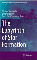 Labyrinth of Star Formation