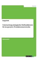 Untersuchung strategischer Einflussfaktoren für kooperative Produktionsnetzwerke: (German)