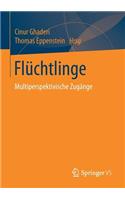 Flüchtlinge: Multiperspektivische Zugänge