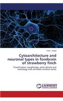 Cytoarchitecture and Neuronal Types in Forebrain of Strawberry Finch