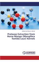 Protease Extraction from Horse Mango (Mangifera foetida Lour) Kernels
