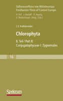 Süßwasserflora Von Mitteleuropa, Bd. 16: Chlorophyta VIII