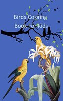 Birds Coloring Book For Kids