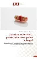 Jatropha Multifida L.: Plante Miracle Ou Plante Mirage?: (Omn.Univ.Europ.)