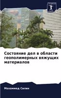 Состояние дел в области геополимерных вя&#1078