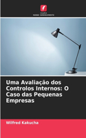 Uma Avaliação dos Controlos Internos: O Caso das Pequenas Empresas