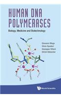 Human DNA Polymerases: Biology, Medicine and Biotechnology