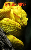 Eyelash Viper