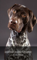 German Shorthaired Pointer