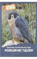 Unbelievable Pictures and Facts About Peregrine Falcons